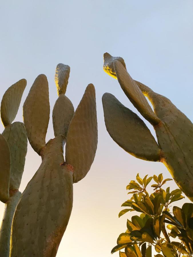 Giardino Frannicola Ξενοδοχείο Μάλιε Εξωτερικό φωτογραφία