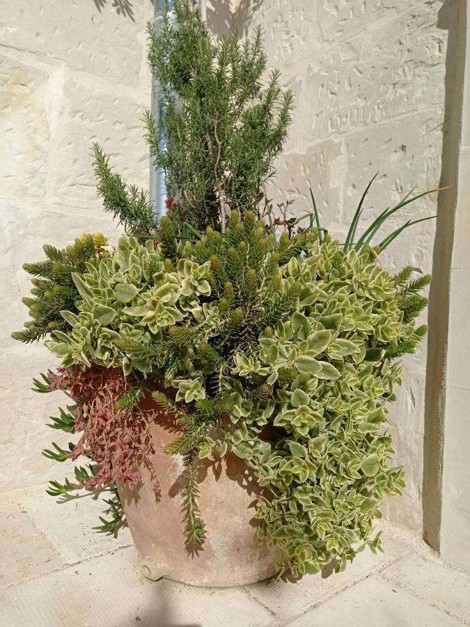 Giardino Frannicola Ξενοδοχείο Μάλιε Εξωτερικό φωτογραφία